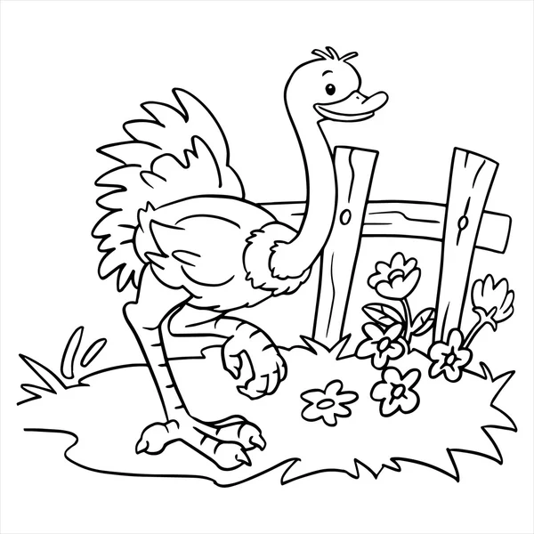 Devekuşu illüstrasyon beyaz izole karikatür