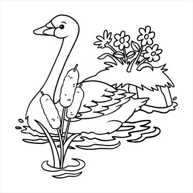 Kuğu çizgi film illüstrasyon izole beyaz