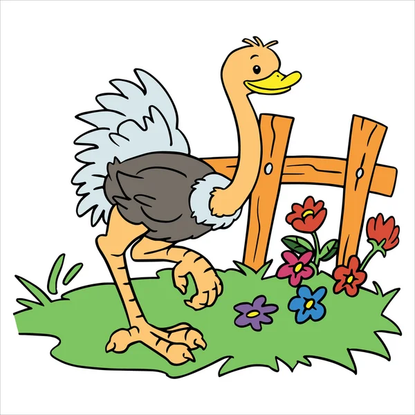 Ilustración de dibujos animados avestruz aislado en blanco — Vector de stock