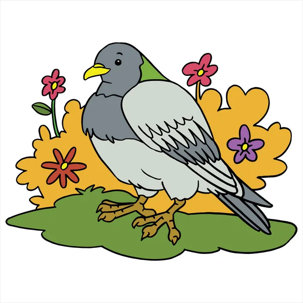 Illustration de dessin animé de pigeon isolé sur blanc — Image vectorielle