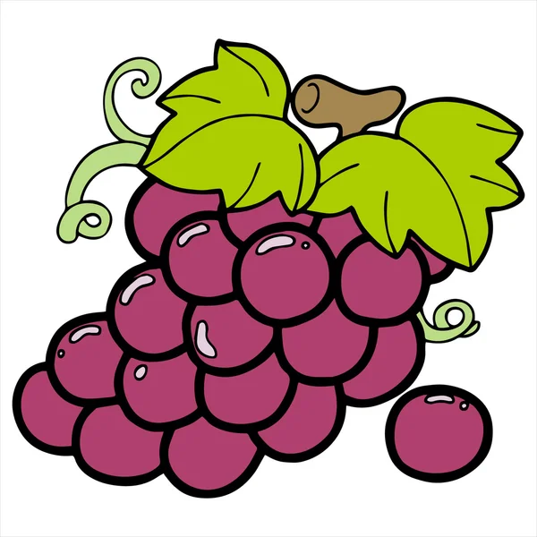 Üzüm çizgi film illüstrasyon izole beyaz