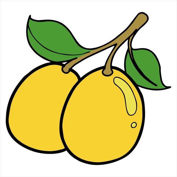 illüstrasyon izole yenidünya meyve vektör beyaz zemin üzerine