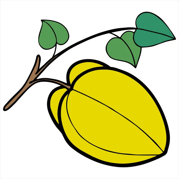 Ilustración de dibujos animados de fruta estrella aislada en blanco — Archivo Imágenes Vectoriales