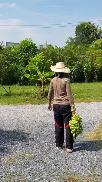 Bahçıvan Markette Satmak Için Birkaç Muz Alıyor — Stok fotoğraf