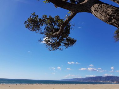 Gökyüzü manzaralı ve Santa Monica 'da güneşli bir günde plaj manzaralı