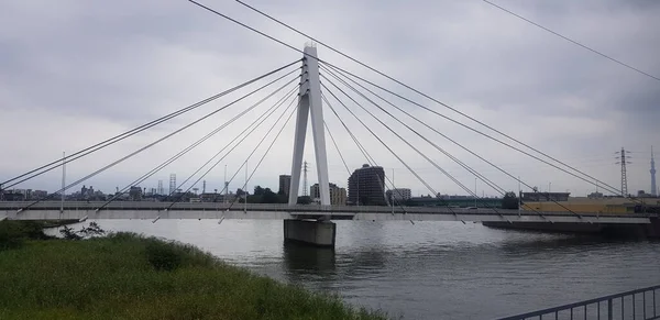 Metropolitní Dálnice Katsushika Harfa Most Tokiu Deštivém Dni — Stock fotografie
