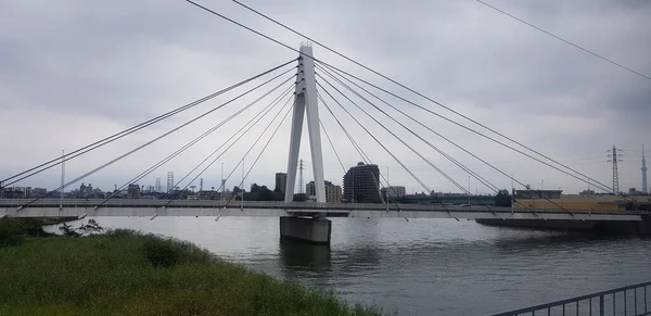 Motorvägen Katsushika Harpa Bron Tokyo Regnig Dag — Stockfoto