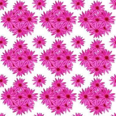 Kusursuz desen, bir sürü pembe nilüfer çiçeği beyaz arka planda sıralanmış..