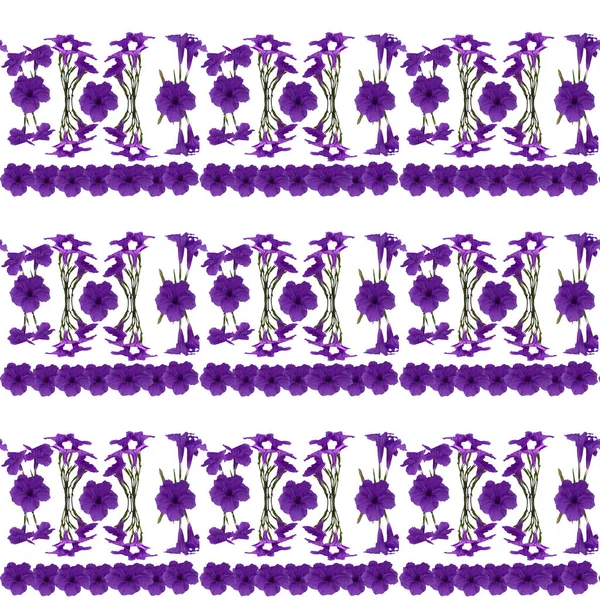 Seamless pattern, purple flowers laid out beautiful patterns.