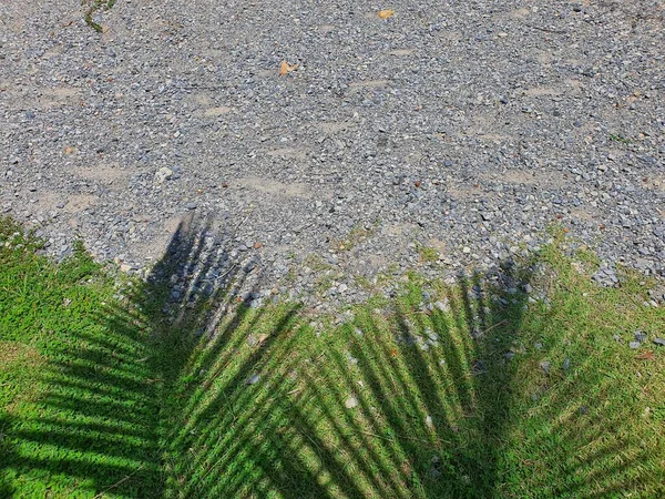 Kleine Steintapete Gibt Einen Schatten Vom Kokospalmenblatt Unteren Bildrand Schöne — Stockfoto