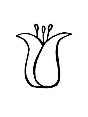 Beyaz arkaplanda bir yaprağın siyah ve beyaz görüntüsü