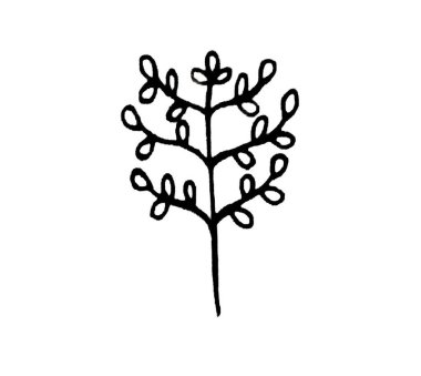 Beyaz arkaplanda yapraklar ve bitkiler, dekor için elementler