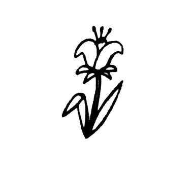 Beyaz arkaplanda yapraklar ve bitkiler, dekor için elementler