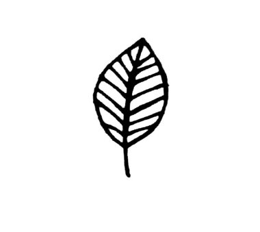 Beyaz arkaplanda yapraklar ve bitkiler, dekor için elementler