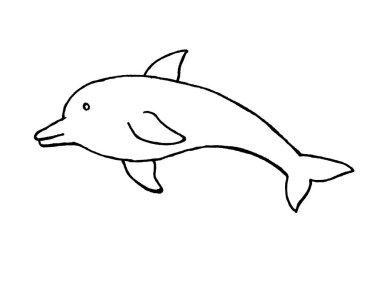 Beyaz arka planda bir yunus. Serbest çizim