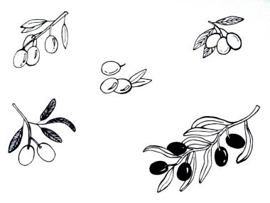 Beyaz arka planda çiçekler ve yapraklar. Karalamalar. Kartpostallar ve davetiyeler için tasarım. Tekstil için Yazdır