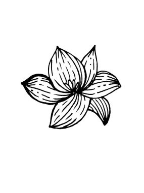 Beyaz arka planda yaprakları ve çiçekleri olan dallar. Karalamalar. Kartlar ve davetiyeler için dekorasyonlar