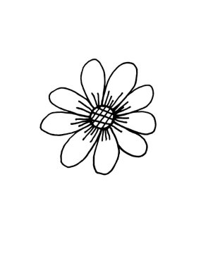 Beyaz arka planda yaprakları ve çiçekleri olan dallar. Karalamalar. Kartlar ve davetiyeler için dekorasyonlar