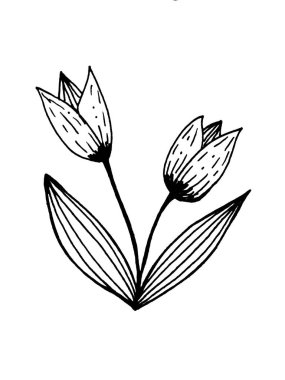 beyaz arka planda bir bitki. Kartların dekorasyonu için yapraklı çiçek, dal, davetiyeler, tekstil için baskı