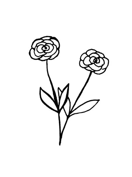 Gallyak Levelekkel Virágokkal Fehér Alapon Doodles Kártyák Meghívók Díszítése — Stock Fotó