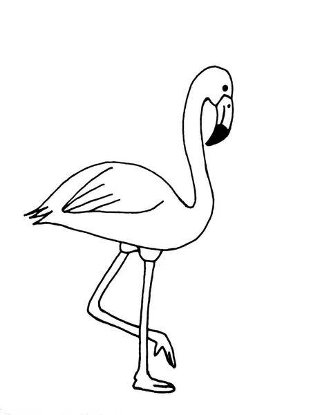 Cute Flamingo White Background Doodles — Stock Photo, Image