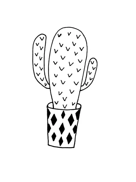 Cactus Una Olla Sobre Fondo Blanco Doodles Impresión Para Textiles — Foto de Stock