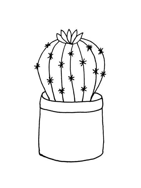 Cactus Pot White Background Doodles Print Textiles Cards Covers Calendars — Stock Photo, Image