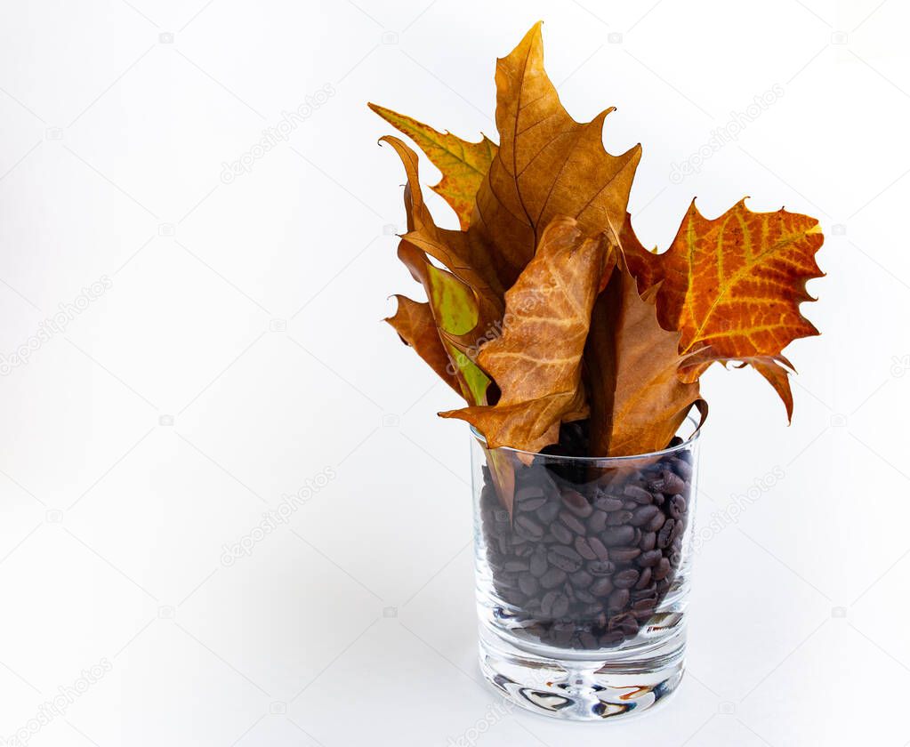 A glass filled with coffee where dry colorful leaves are inserted