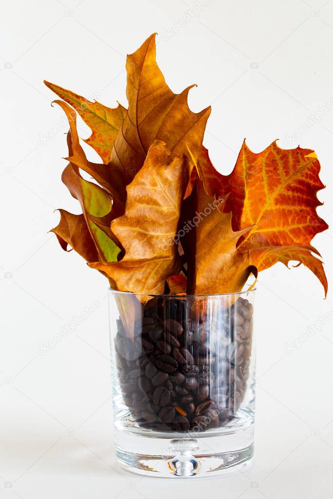 A bouquet of dry, fallen, autumn leaves into glass filled with roasted coffee beans on white background