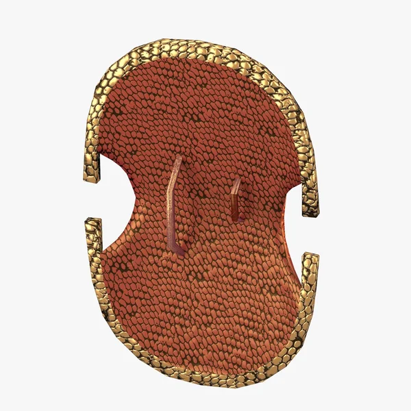 Escudo de bronze com ornamento curvo — Fotografia de Stock