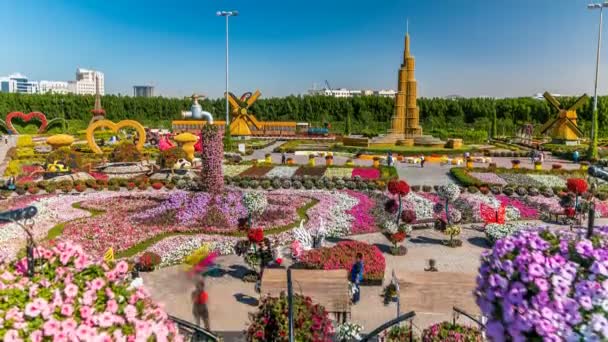 Dubai milagro jardín timelapse con más de 45 millones de flores en un día soleado, Emiratos Árabes Unidos — Vídeo de stock
