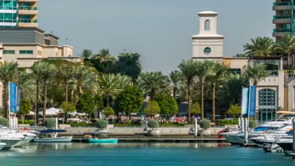 Fontanna i palmy timelapse na przystani chodzić, W ciągu dnia. Dubai, Zjednoczone Emiraty Arabskie — Wideo stockowe