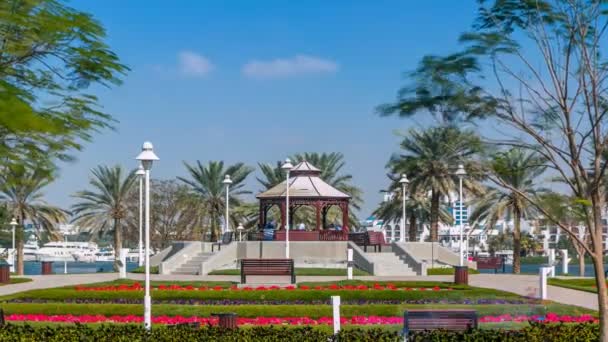 Alcove with green lawn, flowers and trees at Dubai Creek park timelapse. Dubai, United Arab Emirates — Stock Video