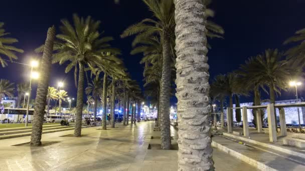 Palm Park en Jerusalén en la noche hiperlapso timelapse — Vídeos de Stock