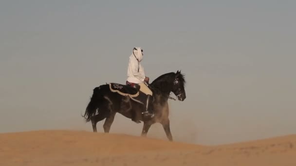 Kuda Arab penunggang kuda naik di padang pasir di Dubai — Stok Video