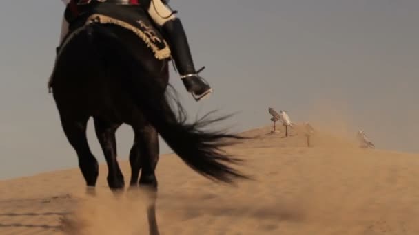 Cavaleiro árabe montado no deserto em Dubai — Vídeo de Stock