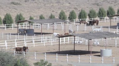 corral çiftlik manzara üzerinde atlar. Stud Üstten Görünüm