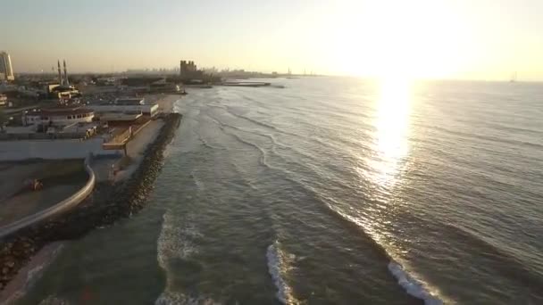 Paysage urbain d'Ajman avec des bâtiments modernes vue aérienne — Video