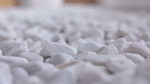 Small naturally polished white rock pebbles — Stock Video