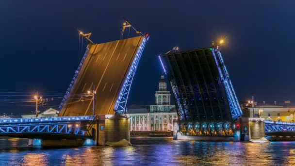 A ponte do palácio levantada e a timelapse de Kunstkamera — Vídeo de Stock