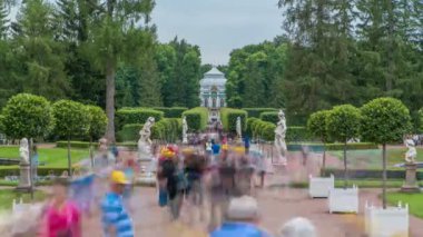 Tsarskoye Selo Puşkin timelapse, Saint Petersburg, Rusya, Park Alley , Ağaçlar ve çalılar