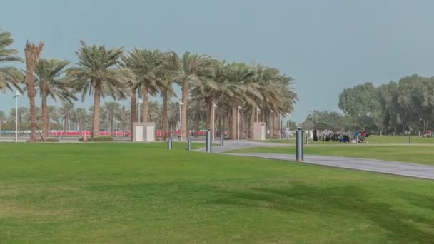 位于卡塔尔首都多哈7公里长的Corniche一端的MIA公园内的棕榈. — 图库视频影像