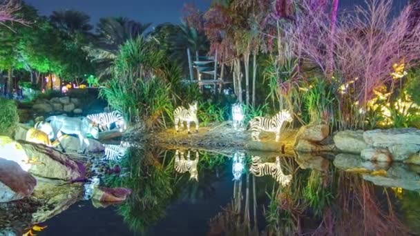 Timelapse Dubai Glow Garden con alberi e sculture illuminate — Video Stock