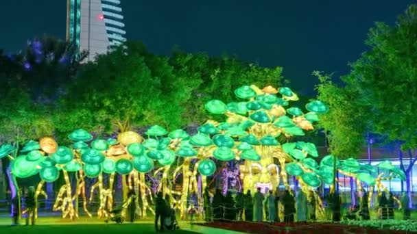 Dubai Glow Garden timelapse com árvores iluminadas e esculturas — Vídeo de Stock