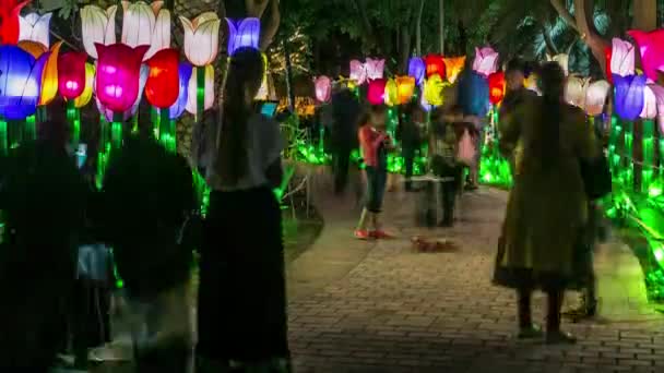 Dubai Glow Garden timelapse met verlichte bomen en sculpturen — Stockvideo