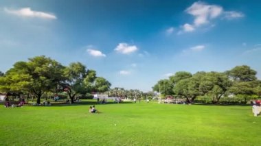 Dubai Creek Parkı 'ndaki yeşil çimenli ve ağaçlı sokak. Dubai, Birleşik Arap Emirlikleri