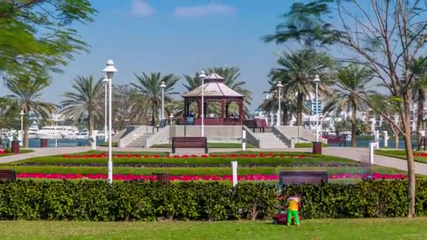 Alcoba con césped verde, flores y árboles en Dubai Creek parque timelapse. Dubai, Emiratos Árabes Unidos — Vídeos de Stock