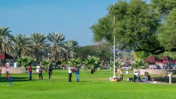 Callejón con césped verde y árboles en Dubai Creek parque timelapse. Dubai, Emiratos Árabes Unidos — Vídeos de Stock