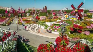 Güneşli bir günde 45 milyondan fazla çiçekle Dubai mucizevi bahçe zamanı. Birleşik Arap Emirlikleri.
