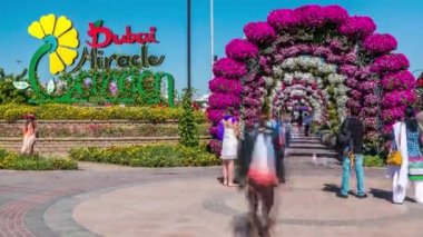 Güneşli bir günde 45 milyondan fazla çiçekle Dubai mucizevi bahçe zamanı. Birleşik Arap Emirlikleri.
